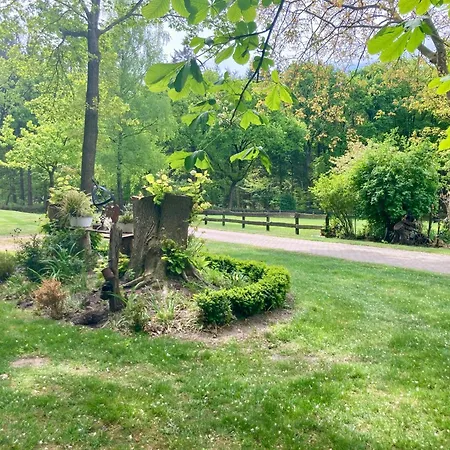 Waldblick By Fewo-plan Wing142 Naehe Naturpark Wingst Armstorf