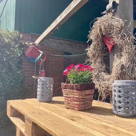 Waldblick By Fewo-plan Wing142 Naehe Naturpark Wingst Vakantiehuis