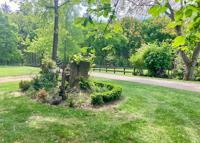 Waldblick By Fewo-plan Wing142 Naehe Naturpark Wingst Armstorf